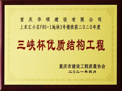 2020年度重庆市三峡杯优质结构工程