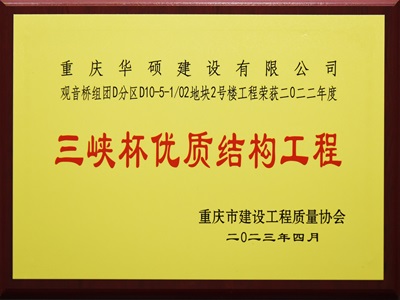 2022年度三峡杯优质结构工程奖(观音桥组团D分区)