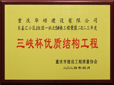 2023年度三峡杯优质结构工程奖 - 长嘉汇J组团